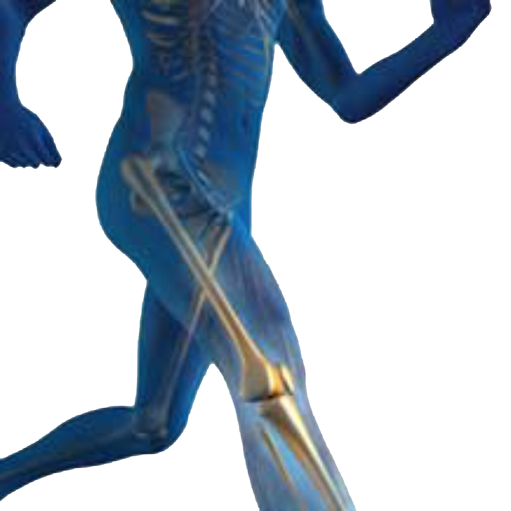 holistic-healing-and-tachyon.jpg holistic-healing-and-tachyon.jpg